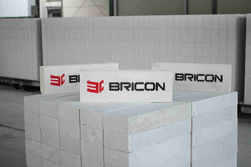 BATA RINGAN BRICON