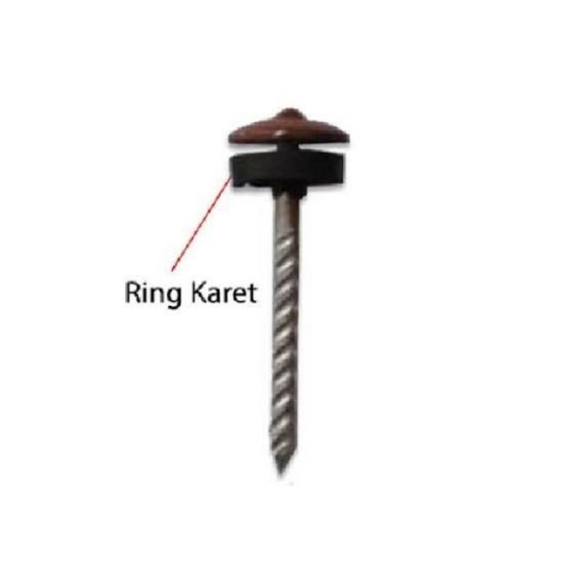 KARET PAKU PAYUNG